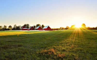 Lagom: la philosophie de vie à la suédoise